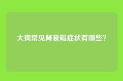 大狗常见肾衰竭症状有哪些？