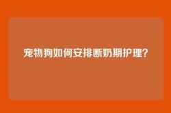 宠物狗如何安排断奶期护理？