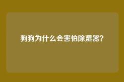 狗狗为什么会害怕除湿器？