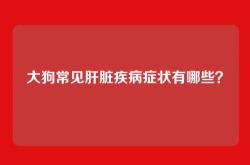 大狗常见肝脏疾病症状有哪些？