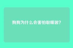 狗狗为什么会害怕取暖器？