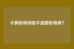 小狗如何训练不追圆形物体？