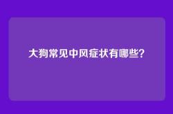 大狗常见中风症状有哪些？