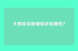 大狗常见肿瘤症状有哪些？