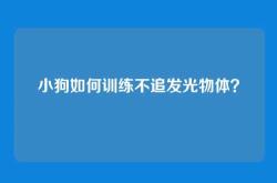 小狗如何训练不追发光物体？