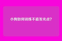 小狗如何训练不追发光点？