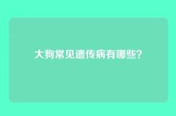 大狗常见遗传病有哪些？