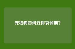 宠物狗如何安排哀悼期？