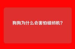 狗狗为什么会害怕缝纫机？