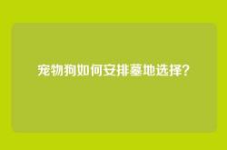 宠物狗如何安排墓地选择？