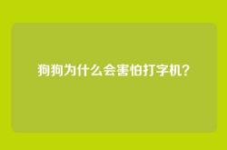 狗狗为什么会害怕打字机？