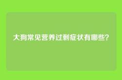 大狗常见营养过剩症状有哪些？