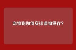 宠物狗如何安排遗物保存？