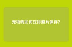 宠物狗如何安排照片保存？