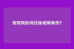 宠物狗如何安排视频保存？