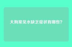 大狗常见水缺乏症状有哪些？