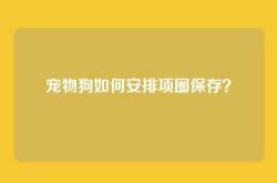 宠物狗如何安排项圈保存？