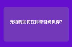 宠物狗如何安排牵引绳保存？
