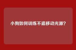 小狗如何训练不追移动光源？