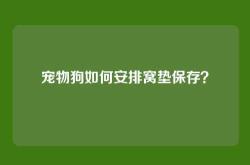 宠物狗如何安排窝垫保存？