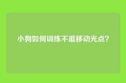 小狗如何训练不追移动光点？