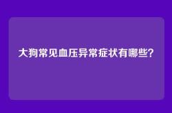 大狗常见血压异常症状有哪些？