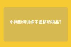 小狗如何训练不追移动物品？