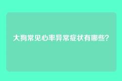 大狗常见心率异常症状有哪些？