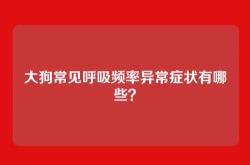 大狗常见呼吸频率异常症状有哪些？