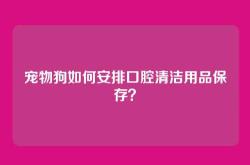 宠物狗如何安排口腔清洁用品保存？