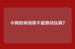 小狗如何训练不追飘动玩具？