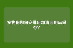 宠物狗如何安排足部清洁用品保存？