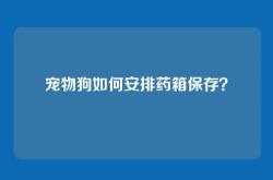 宠物狗如何安排药箱保存？