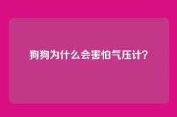 狗狗为什么会害怕气压计？