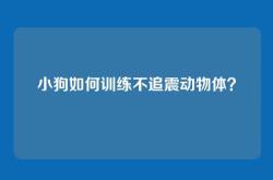 小狗如何训练不追震动物体？