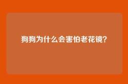 狗狗为什么会害怕老花镜？