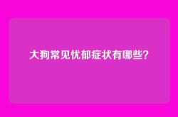大狗常见忧郁症状有哪些？