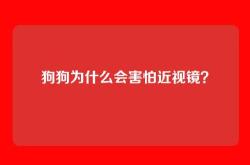 狗狗为什么会害怕近视镜？