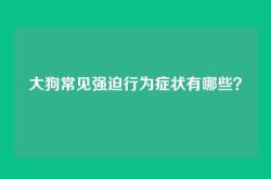 大狗常见强迫行为症状有哪些？