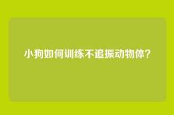小狗如何训练不追振动物体？