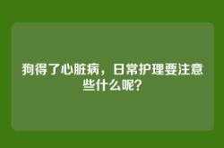 狗得了心脏病，日常护理要注意些什么呢？