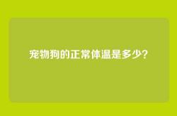 宠物狗的正常体温是多少？