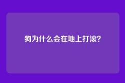 狗为什么会在地上打滚？