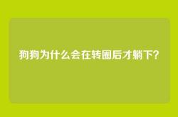 狗狗为什么会在转圈后才躺下？