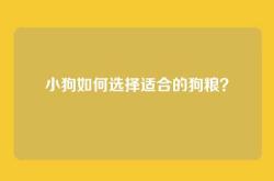 小狗如何选择适合的狗粮？