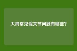 大狗常见髋关节问题有哪些？