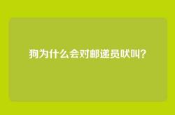 狗为什么会对邮递员吠叫？