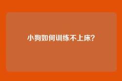 小狗如何训练不上床？