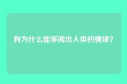狗为什么能够闻出人类的情绪？