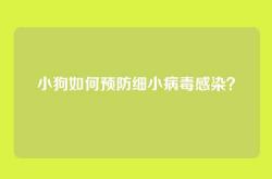 小狗如何预防细小病毒感染？